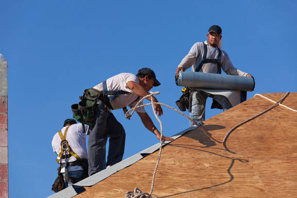 Best Gutter Installation and Roofing  in Greenhills, OH